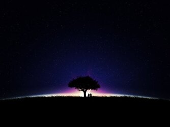 $02397_starrynight_640x480.jpg