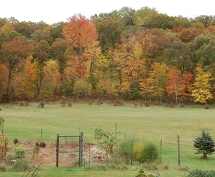 $FallColors_Android_967x800.webp $FallColors_Android_967x800.webp