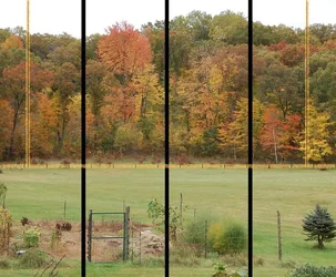 $FallColors_Android_LINED_967x800.webp $FallColors_Android_LINED_967x800.webp