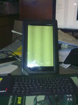 $13042011005 (Large).webp