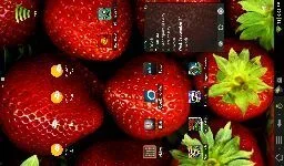 $uploadfromtaptalk1315692775225.webp