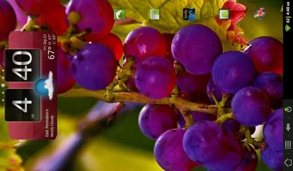 $uploadfromtaptalk1316767544877.webp
