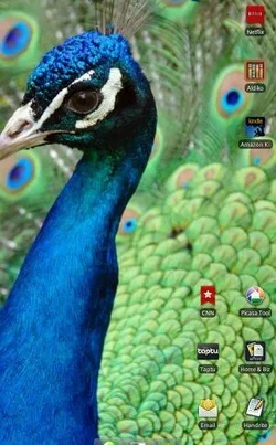 $uploadfromtaptalk1320043568484.webp