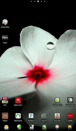 $uploadfromtaptalk1329506641025.webp