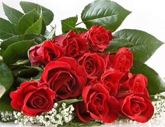 $red-roses.jpg
