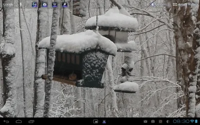 $ForumRunner_20120525_083448.webp