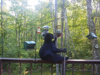 $IMG_20120610_172834.jpg
