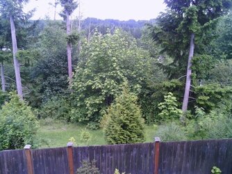 $IMG_20120624_160446.jpg $IMG_20120624_160446.jpg