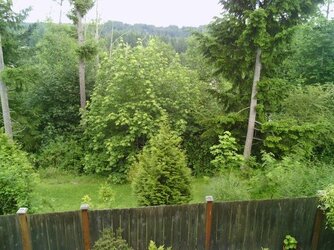 $IMG_20120624_162459.jpg $IMG_20120624_162459.jpg