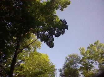 $ForumRunner_20120629_081935.webp