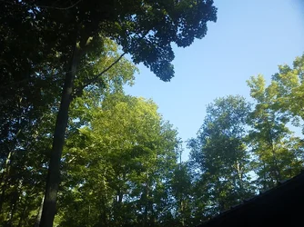 $ForumRunner_20120629_082011.webp