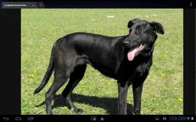$ForumRunner_20120729_075150.webp