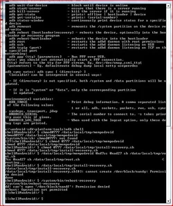 $Root attempt.webp