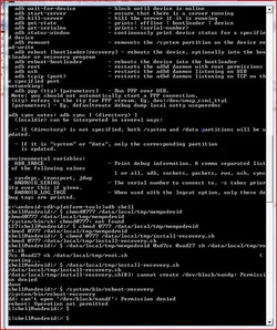 $Root attempt2.webp