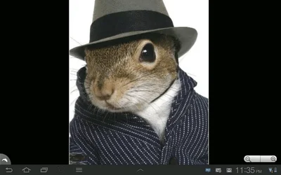 $ForumRunner_20121123_234614.webp