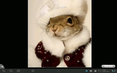 $ForumRunner_20121123_234631.webp