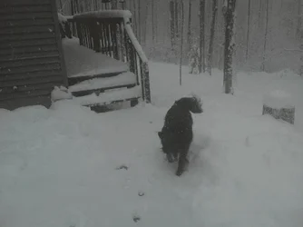 $ForumRunner_20121220_130805.webp