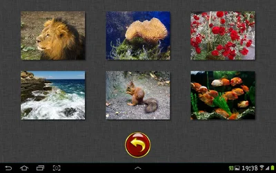 $Screenshot_2013-02-01-19-38-57.webp