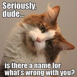 $Seriously Dude.webp