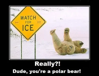 $PolarBear.webp