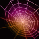 $Spider_Web.gif $Spider_Web.gif