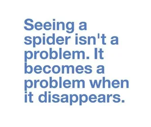 $Spider.webp $Spider.webp