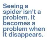 $Spider_S.webp