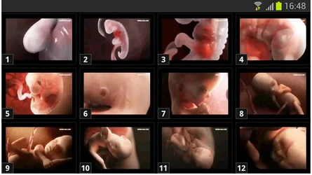 $Screenshot_2013-10-09-16-48-43.webp