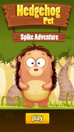 $hedgehog-pet-spike-adventure-1-0-s-307x512.jpg