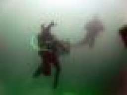 ktgould