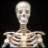 Dr.Bones