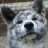 famewolf