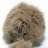 iamtribble