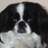dog_rescuer