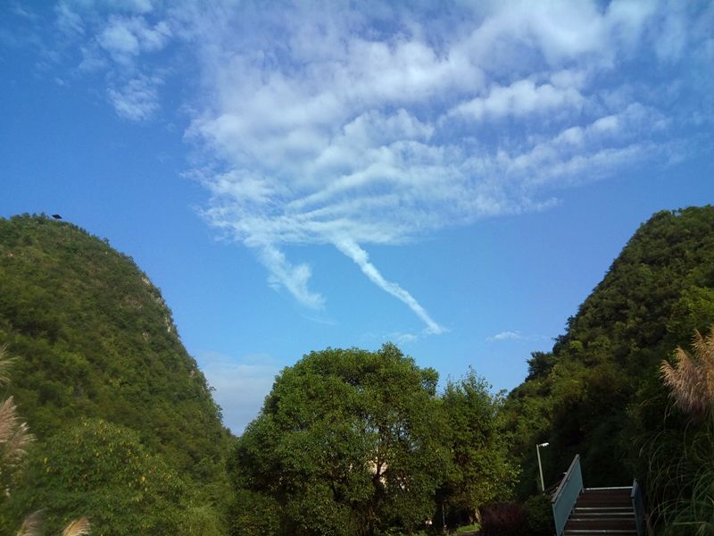 83e7d39bgy1fj6of56xnhj20m80goaqu.jpg
